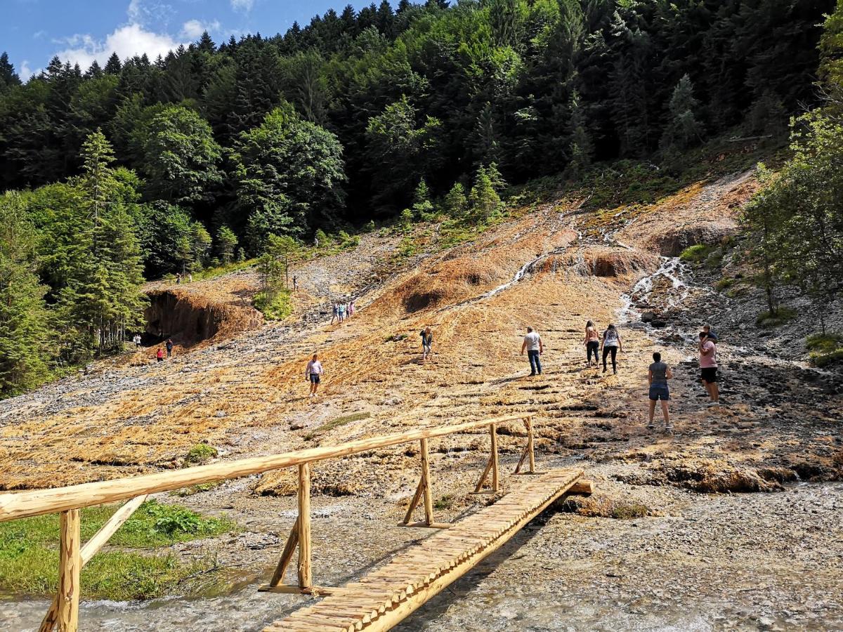 Pensiunea Izvorul Bucuriei ซีริว ภายนอก รูปภาพ