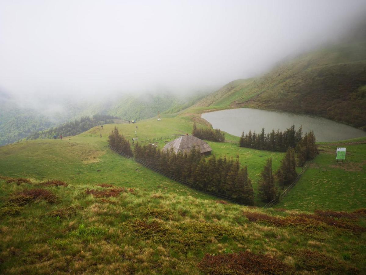 Pensiunea Izvorul Bucuriei ซีริว ภายนอก รูปภาพ